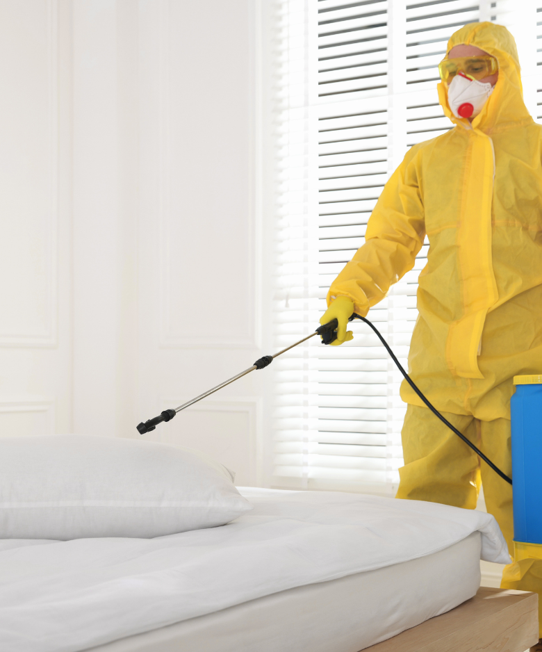 Professional Pest Control Team in Craigmore